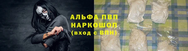 сатива Абинск