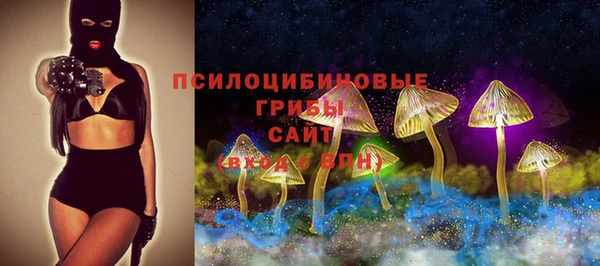 PSILOCYBIN Алексин